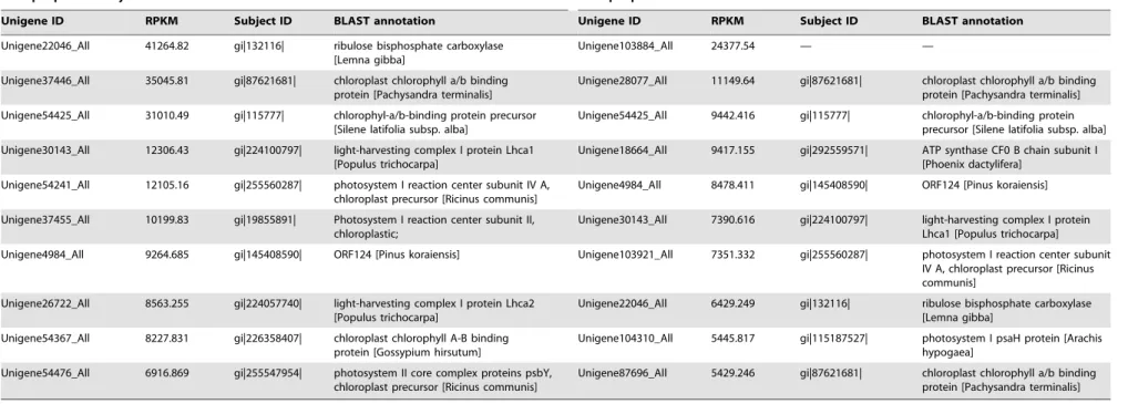 Table 3. High expressed transcripts in A. konjac and A. bulbifer.