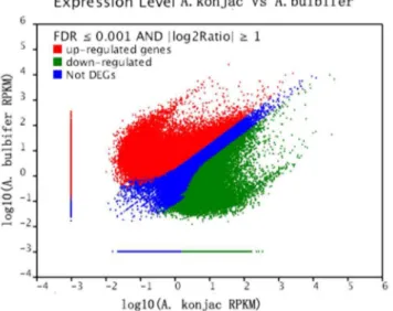 Figure 5. Differentially expressed genes between A. konjac and A. bulbifer.