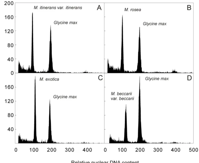 Fig 1. Histograms of relative nuclear DNA content obtained after flow cytometric analysis of propidium iodide-stained nuclei isolated from (A) M 