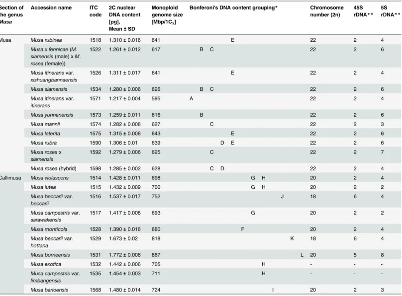 Table 1. Nuclear DNA content, chromosome number and the number of 45S and 5S rDNA loci.