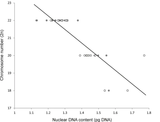 Fig 2. Relationship between nuclear 2C DNA content and 2n chromosome number in representatives of the genus Musa studied in the present work (empty circles) and by Barto š et al 