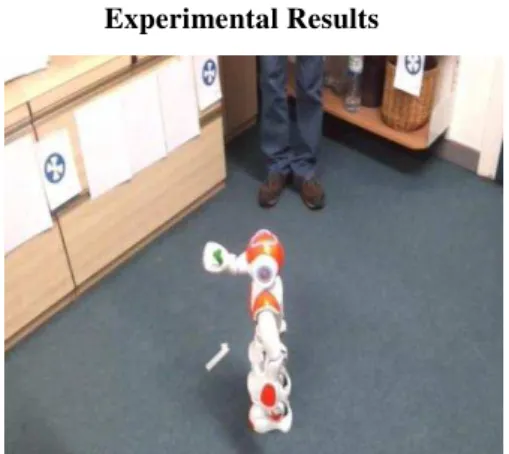 Fig: Nao executing mission. 