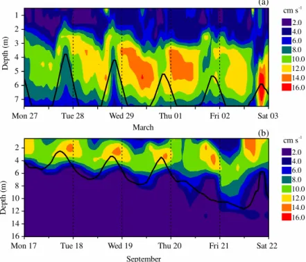 Figure 6. Simulated velocity profile using realistic forcing. Higher velocities represent the depth where the river flows though the transition zone