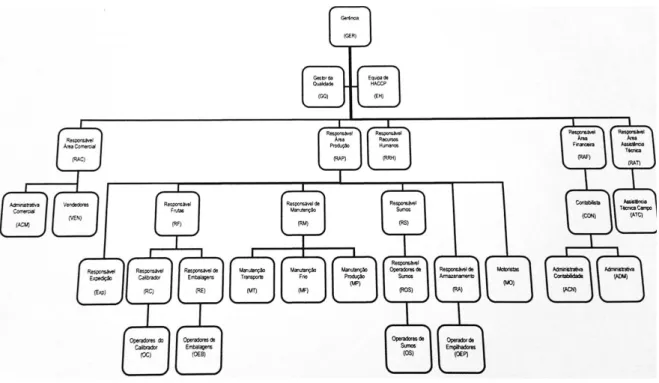 Figura 1.1 – Organigrama da estrutura organizacional na empresa Frubaça Crl.  