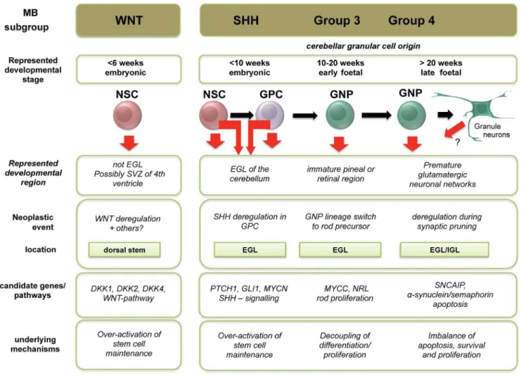 Figure S1 Variation distribution and length of principle component vectors for combined medulloblastoma cohorts and all developmental controls