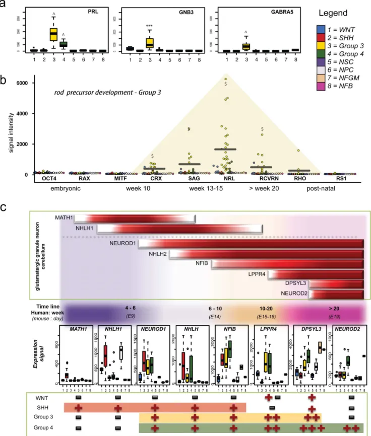 Figure 3. Developmental alignment of Group 3 and Group 4 medulloblastoma. a. The expression levels of selected exclusively Group 3 over-expressed photoreceptor and glutamate signaling genes were graphed for all sample groups using Box-Whisker plots