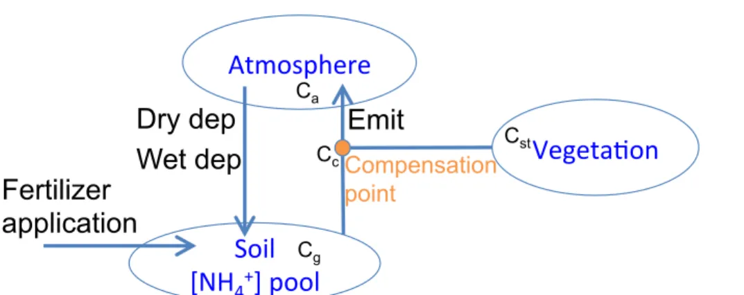 Figure 5. Simplified schematic of NH 3 bi-directional exchange model. C a , C g , C st are the NH 3 concentrations in the atmosphere, soil and stomata, respectively