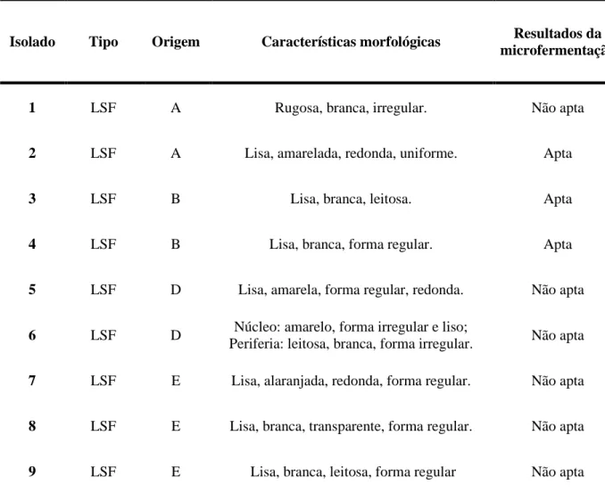 Tabela  3.1  –  Estirpes  isoladas  com  base  em  suas  características  morfológicas  e  resultados  do  primeiro teste de microfermentação 