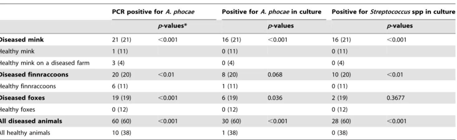 Table 2. Detection of Arcanobacterium phocae and Streptococcus spp. in fur animals, and their association to disease signs of FENP.