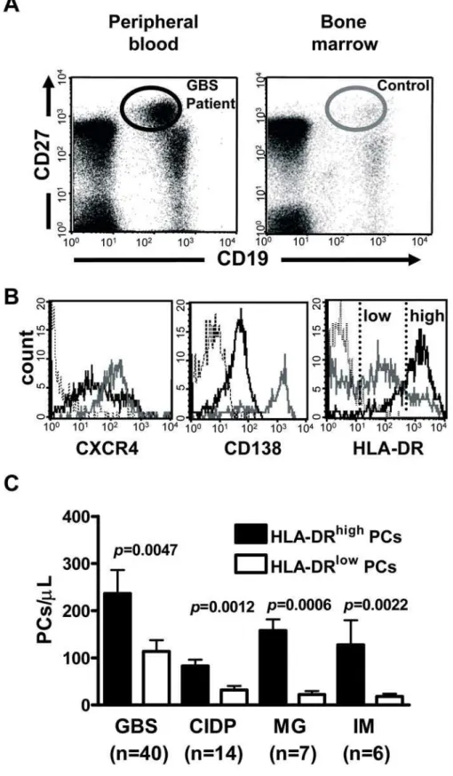 Figure 3. Most IVIg-mobilized CD19 + CD27 high cells are immature. (A) Representative analyses of circulating and bone marrow CD19 + CD27 high cells in a GBS patient 7 days after IVIg infusion and in a healthy bone marrow donor