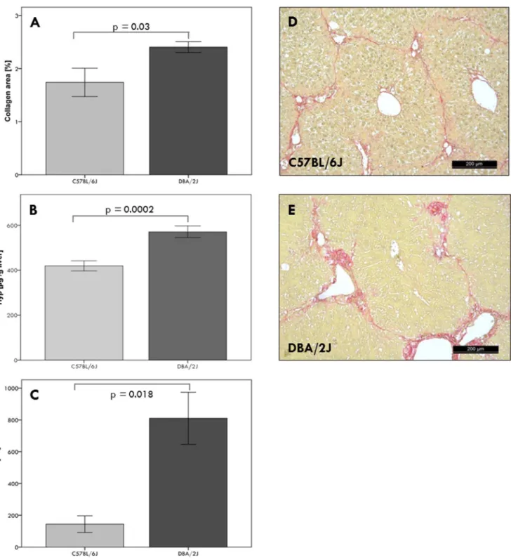 Figure 1. Phenotypic characterization of parental strains after six weeks of CCl 4 injections