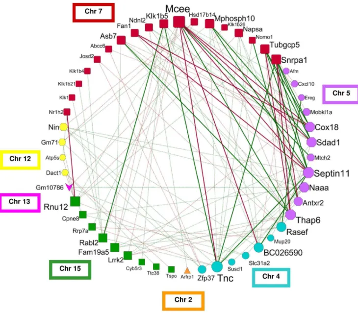 Figure 4. Fibrosis network graph generated by correlating the hepatic expression levels of the candidate genes