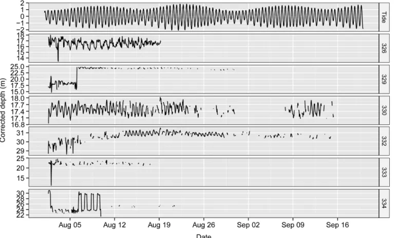 Fig 7. Chronogram of tide height and corrected depth of tagged S. schlegelii over the tracking period.