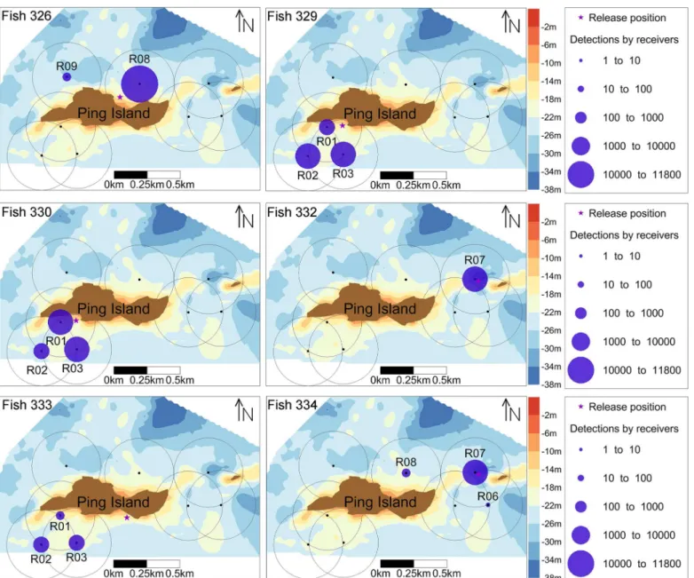 Fig 3. Spatial distribution of six tagged S. schlegelii detections at receivers. The size of blue circles represents the number of individual detections of six tagged S