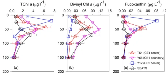 Fig. 3. Depth profiles of phytoplankton pigments at the eddy centers (TS1 and Y12), the eddy edge (Y56) and the reference site (St