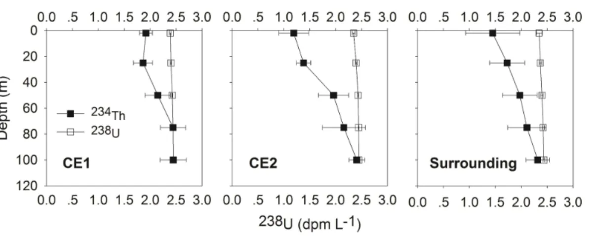 Fig. 4. Depth profiles of 234 Th and 238 U activities averaged over respective stations inside and outside the eddies