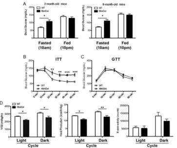 Fig 2. IfitmDel mice develop metabolic dysfunction. (A) Blood glucose of 2- and 9-month old WT and IfitmDel mice were measured at 10 AM (fasted) or 10 PM (fed)