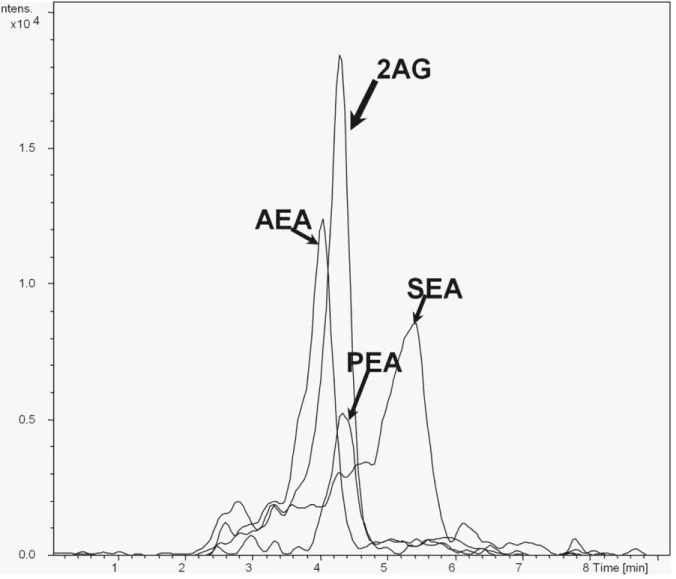 Figure 1. Representative MRM-chromatogram of reference standards. The injection volume was 4 ml for all of them (20 fM)