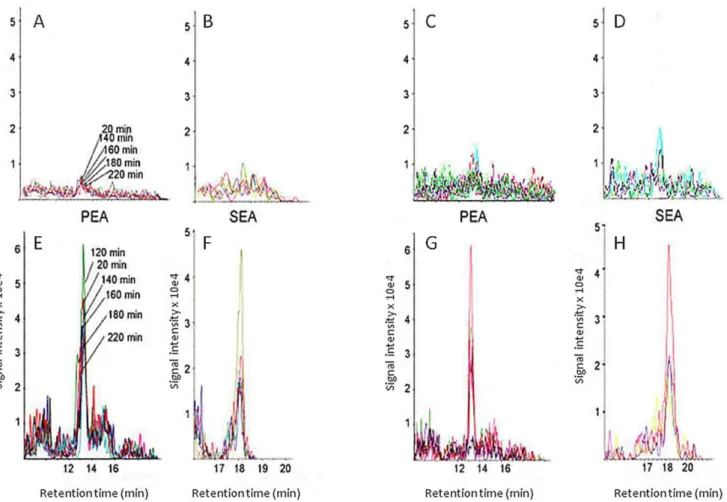 Figure 4. Examples of PEA and SEA chromatograms from dialysates from two controls (Panels A–D) and two cases with trapezius myalgia (Panels E–H)