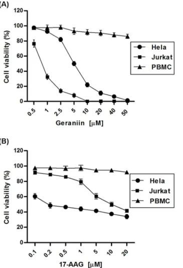 Figure 6. Effects of geraniin and 17-AAG on cell cycle progression. Percentage of cell cycle stages was analyzed by flow cytometry, (A) PI-stained viable Jurkat cells treated with DMSO, 0.7 mM geraniin or 10 mM 17-AAG for 24 h
