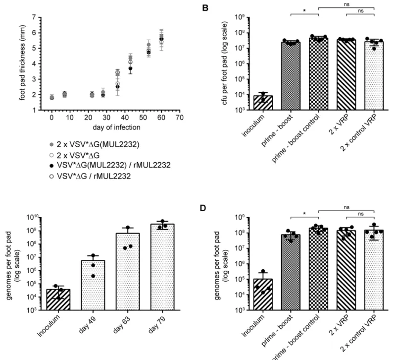 Fig 5. Infection of immunized mice with M . ulcerans . Groups of six immunized, female BALB/c mice were infected by s.c