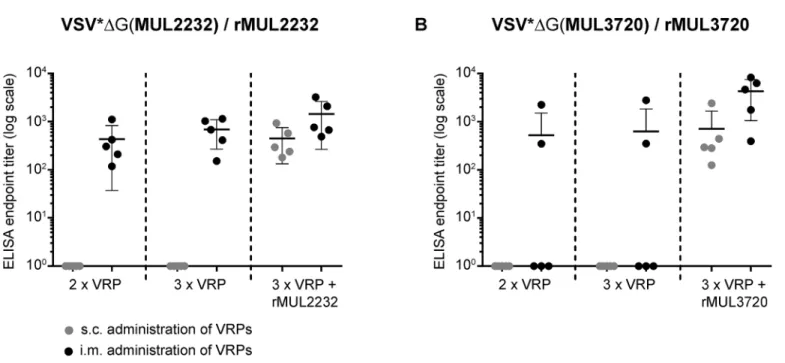Fig 2. Comparison of immunization routes. Groups of five female BALB/c mice were sequentially immunized with VSV * ΔG(MUL2232) (A) or VSV * Δ (MUL3720) (B) via the sub-cutaneous (grey dots) or intra-muscular (black dots) route