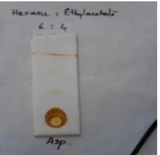 Figure 1 : Purification of crude by TLC plate. 
