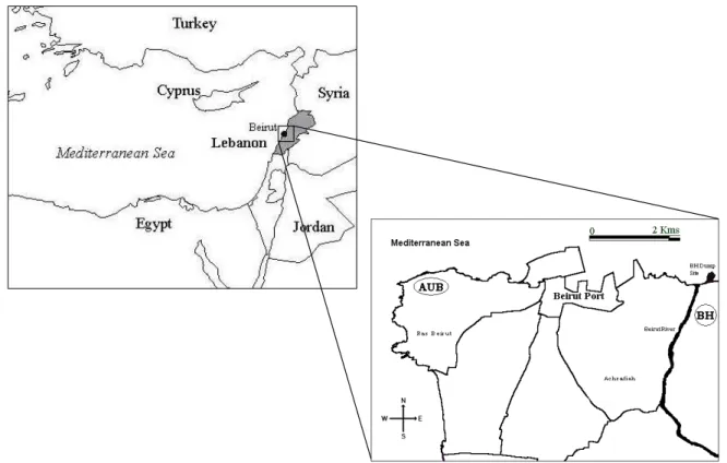 Fig. 1. View of the Middle East region, Lebanon and the position of the Bourj-Hamoud sampling site in Beirut.