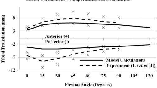 Fig. 1.  A-P tibial translation under ±130 N A-P force over the flexion range. Model calculations (continuous lines) are compared with the experimental  measurements of Lo et al