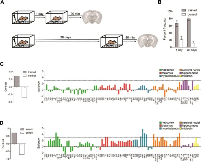 Figure S3) in order to evaluate whether network properties were stable across a range of conditions