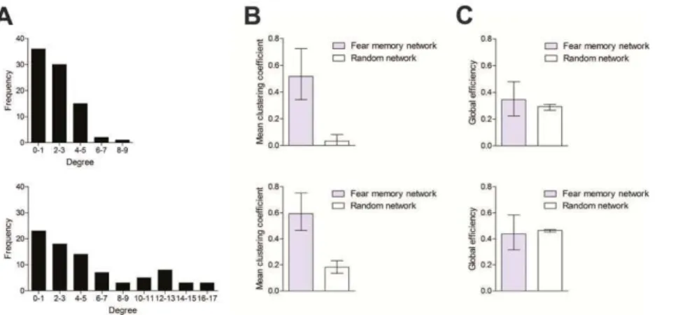 Figure 5. Fear memory networks have small-world structure. A. Histogram showing degree distribution for fear memory networks corresponding to the 1 day (upper) and 36 day (lower) retention delay