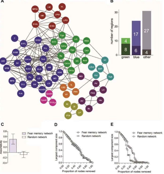 Figure 6. The long-term fear memory network is clustered and resilient. A. Network summarizing functional connections after memory recall at the long delay