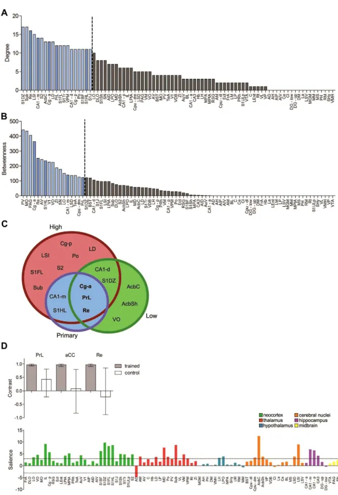 Figure 7. Identification of hub regions in the long-term memory network. Brain regions ranked in descending order for (A) degree and (B) betweenness