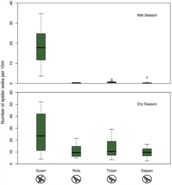 Figure 2. Forest spider web abundance by island. The bar in each boxplot indicates the median number of webs per 10 meters, while the box shows the first and third quartiles of data