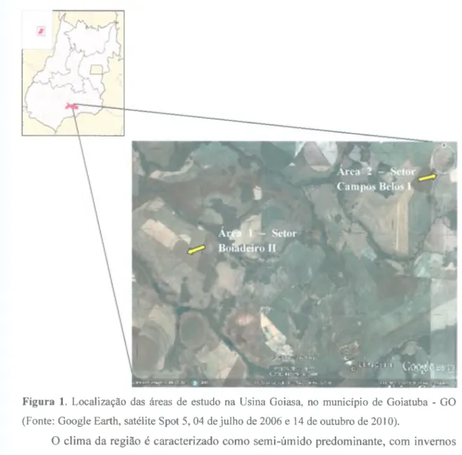 Figura  1.  Localização das  áreas  de  estudo  na  Usina Goiasa,  no município  de Goiatuba  -  GO  (Fonte: Google Earth, satélite Spot 5, 04 de julho de 2006 e 14 de outubro de 2010).