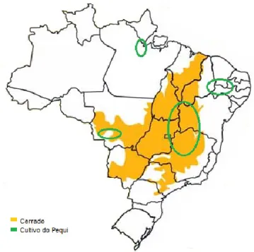 Figura 1.2.  Distribuição geográfica do Bioma Cerrado e do cultivo do Pequi no Brasil