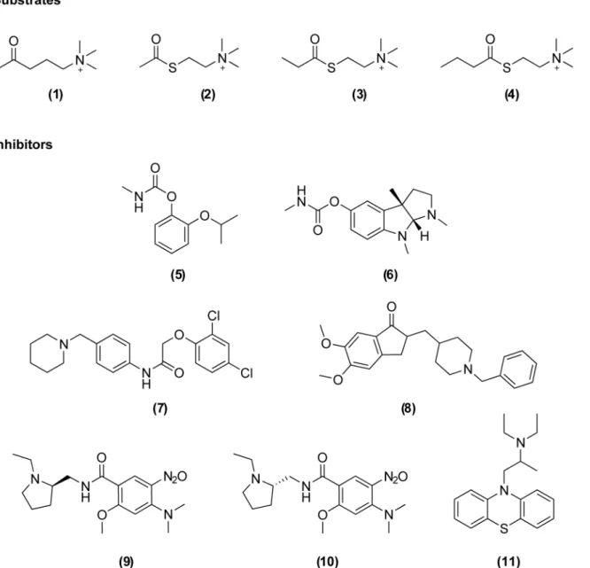 Fig 1. Chemical structures of the substrates and inhibitors investigated in this study