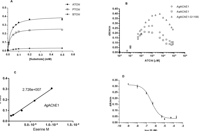 Fig 2. Enzyme kinetics. (A) Substrate preference for AaAChE1 illustrated by Michaelis-Menten curves