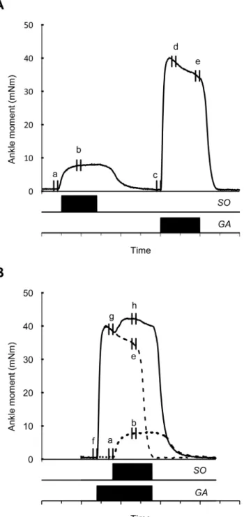 Figure 3. Schematic view of the two stimulation protocols. In this example, ankle joint was positioned at 95u