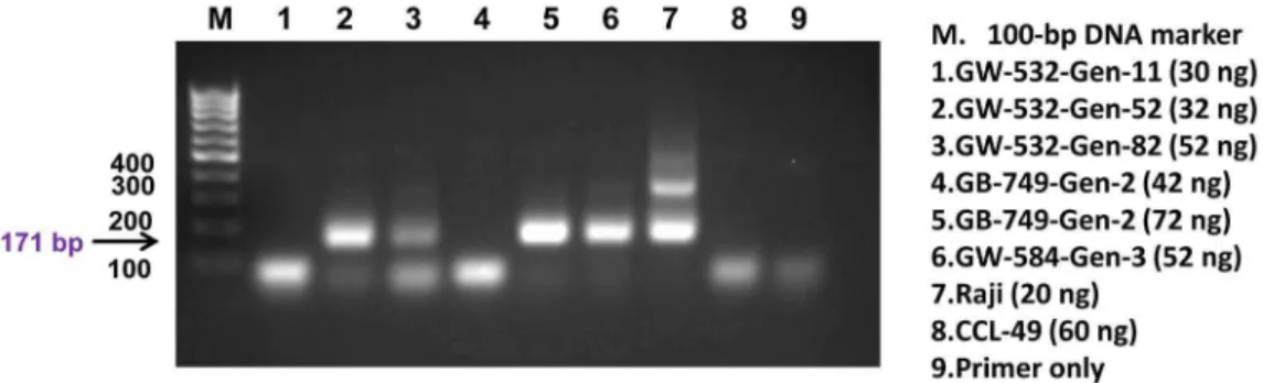 Figure 3. One-step reverse transcription PCR. The mRNA transcripts of the F11R gene were detectable in GW-532 generation 11 (lane 1), GW- GW-584 generation 3 (lane 2), and the positive control of human HepG2 cells (lane 6), but not in the negative control 