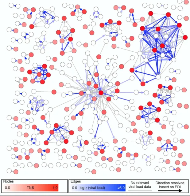 Figure 1. The inferred transmission network (excluding unconnected individuals) in the SDPIC