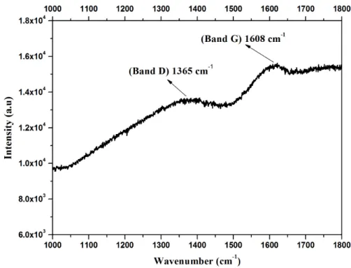 Figure 3. Raman spectrum of the peat talc sample.