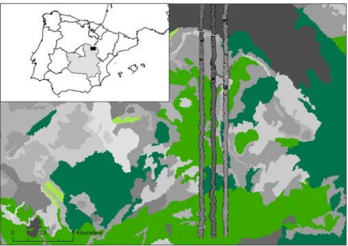 Figure 2. Study area. Shown in lighter green, mixed forest, and darker green, coniferous forest.
