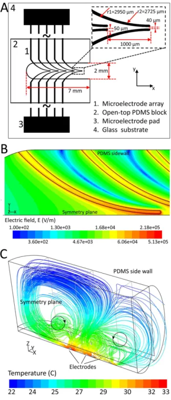 Figure 1. Specifications of the applied DEP systems: (A) an open- open-top PDMS block was assembled onto a DEP platform equipped with one microelectrode array, the inset shows the magnified image of one pair of the curved microelectrodes, the minimum gap o