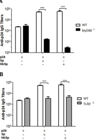 Figure 6. The adjuvant effects of B. subtilis spores require stimulation of TLR2. MyD88 2/2 (A) and TLR2 2/2 (B) C57 BL/6 mice (n = 5) were immunized (three doses on days 0, 14 and 28) with p24 protein only (700 ng) or p24 (700 ng) in combination with live