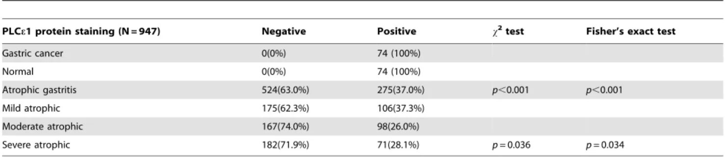 Figure 3. Expression analysis of PLC e 1 mRNA and protein in gastric cancer and atrophic gastritis patients
