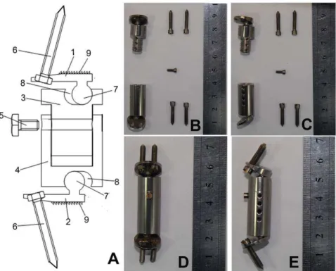 Figure 4. In vitro ACVC implantation in goat cervical spines. A, C2/3 and C3/4 discectomies; B, C3 subtotal corpectomy; C, fixation of ACVC; D and E, anterior-posterior and lateral X-ray films after the ACVC implantation.