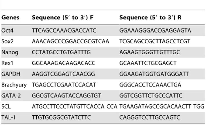 Table 1. Primer sets for the pluripotent genes, hematopoietic commitment genes by RT-PCR.
