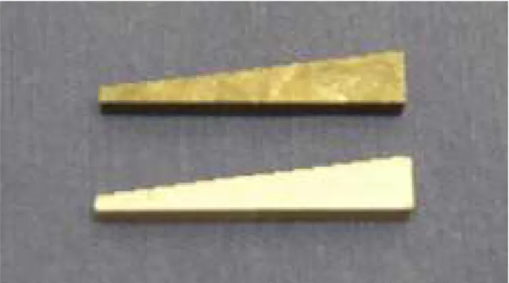 Figura 2 – Tomada radiográfica apresentando o posicionamento do fragmento e do penetrômetro