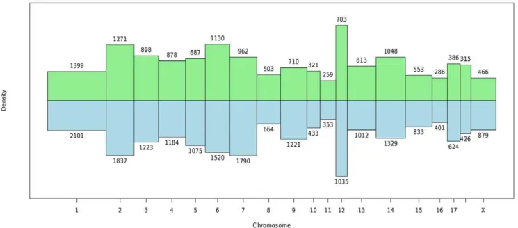 Figure 1. Histogram of oligonucleotide and gene densities across chromosomes. Green bars pointing up represent the distribution of oligonucleotides on the microarray